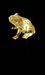 Starry Illuminate 3 PCS Solar Color Changing Style Garden Stake Light Pathway Stake Light (Frog) | Lumora