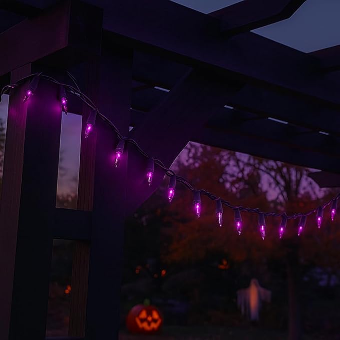 Novelty Lights 50 Feet 100 Bulbs Traditional Incandescent Mini Lights, Purple on Green Wire with 6" Spacing, Commercial Grade and UL Listed for Indoor/Outdoor Use, End-to-End Connectable