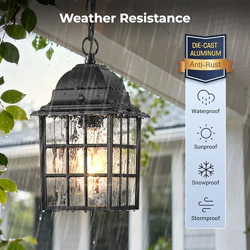 VIANIS Dusk to Dawn Outdoor Pendant Light for House with Adjustable Chain