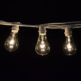 Hometown Evolution, Inc. Commercial Grade Vintage Edison Outdoor String Lights (PS50 Clear - Commercial White Wire | Lumora