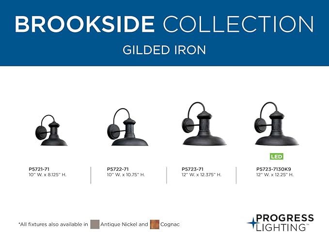 Progress Lighting P5722-71 Brookside Outdoor, 10-Inch Width x 10-3/4-Inch Height, Black | Lumora