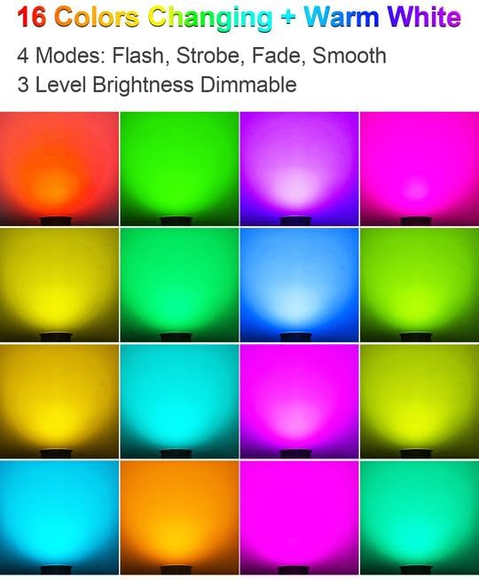 ZUCKEO RGB Low Voltage Landscape Lights LED Color Changing Well Lights, Outdoor In Ground Light Waterproof Accent | Lumora