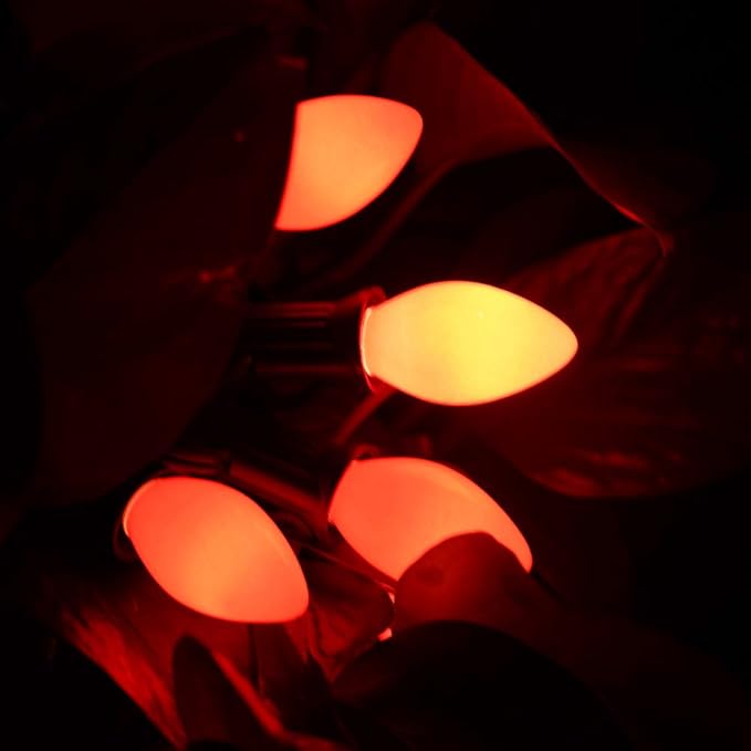 GOOTHY 25 Pack C7 Red Christmas Light Bulbs, C7 Incandescent Christmas Replacement Light Bulbs for Outdoor Indoor | Lumora