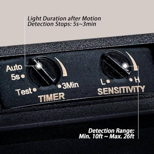 CALOKES Motion Sensor Outdoor Ceiling Light - Industrial Style, Flush Mount, Dual Box Frame with Water Ripple Glass Design - Perfect for Porch, Garage, and Entryway, Time and Sensitivity Adjustable