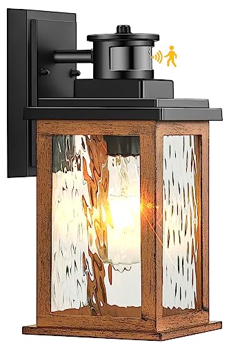 VIANIS Motion Sensor Outdoor Light, Dusk to Dawn Outdoor Lighting for House