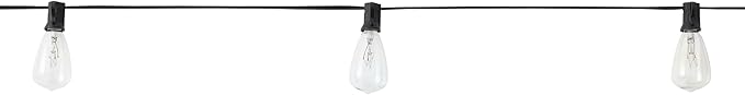 Ashland 30ct Clear Edison String Lights - 30 ft. Total Length Light Bulbs, 120V 60Hz AC, UL Certified, Indoor and Outdoor Use - 1 Pack