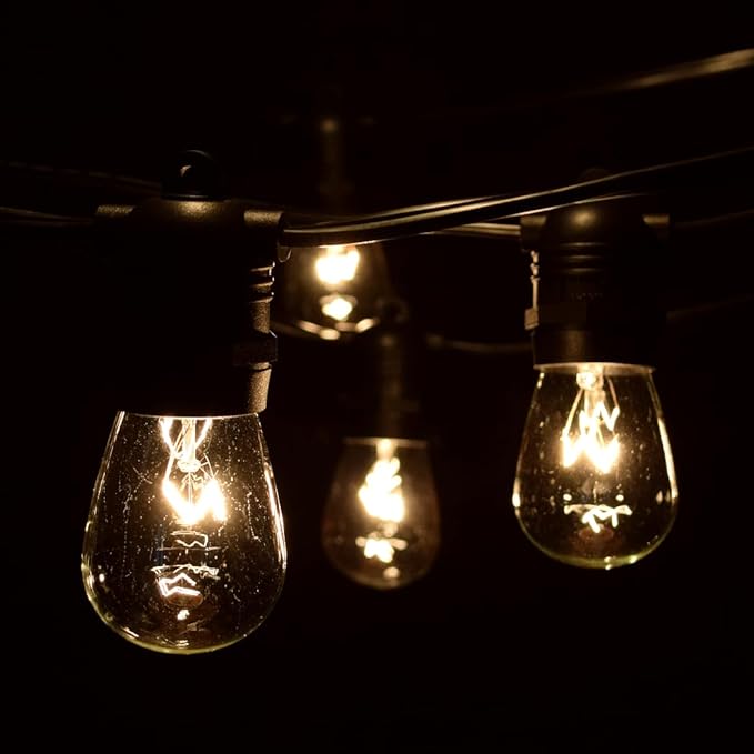 Hometown Evolution, Inc. 100 Foot Commercial Grade Outdoor String Lights (100 Foot 50 Socket, S14 11 Watt Clear | Lumora