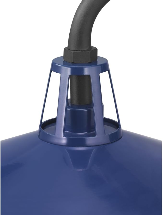 Progress Lighting Cedar Springs Collection 1-Light Farmhouse Outdoor Extra-Large Wall Lantern Light Navy