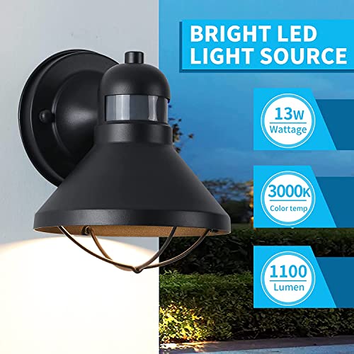 LONEDRUID 2 Pack Dusk to Dawn Motion Sensor Outdoor LED Wall Light Fixture