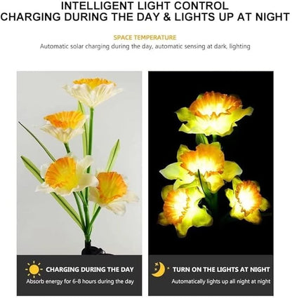 Solar Lights Outdoor Decorative, 2 Pack Solar Garden Lights Daffodils Flowers 7 Color Changing LED Soalr Powered Outdoor Lights, Waterproof Solar Lights for Garden Patio Yard