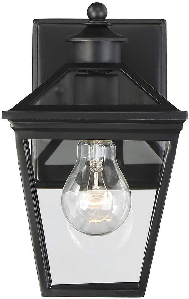 Savoy House 5-140-BK Ellijay Modern Rustic Clear Glass Outdoor Wall Lantern, 1-Light 60 Watt, 10" H x 6" W, Black | Lumora
