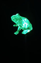 Starry Illuminate 3 PCS Solar Color Changing Style Garden Stake Light Pathway Stake Light (Frog) | Lumora
