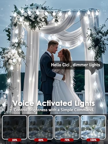 Connectable 43FT 100LED Globe String Lights Indoor, Smart Christmas Lights