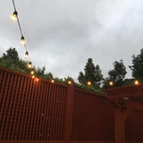 Novelty Lights 37.5 Feet Heavy Duty Light String with 25 in-Line E26 Sockets, Black - Outdoor Security Flood Light | Lumora