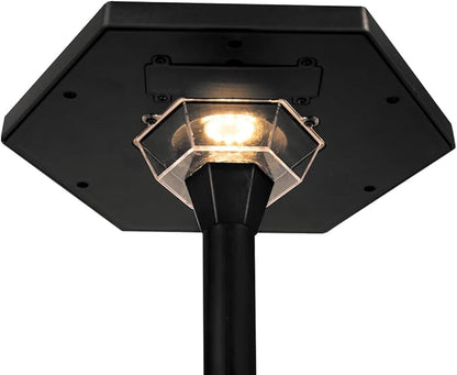 Solar Path Light (Black) for Outdoor Lighting on Walkway, Garden, Patio or Driveway