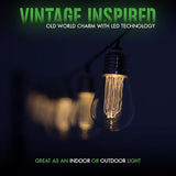 LitezAll LED Edison Bulb String Lights, Battery Operated Outdoor String Lights with Built-in Timer, Warm Glow | Lumora