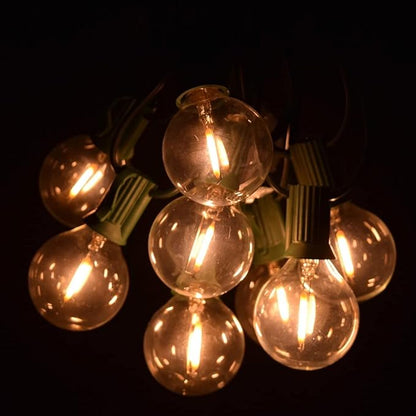 Hometown Evolution, Inc. G40 LED Warm White Outdoor Patio String Lights with 0.6 Watt Bulbs (G40 LED Filament - Green Wire, 50 ft)