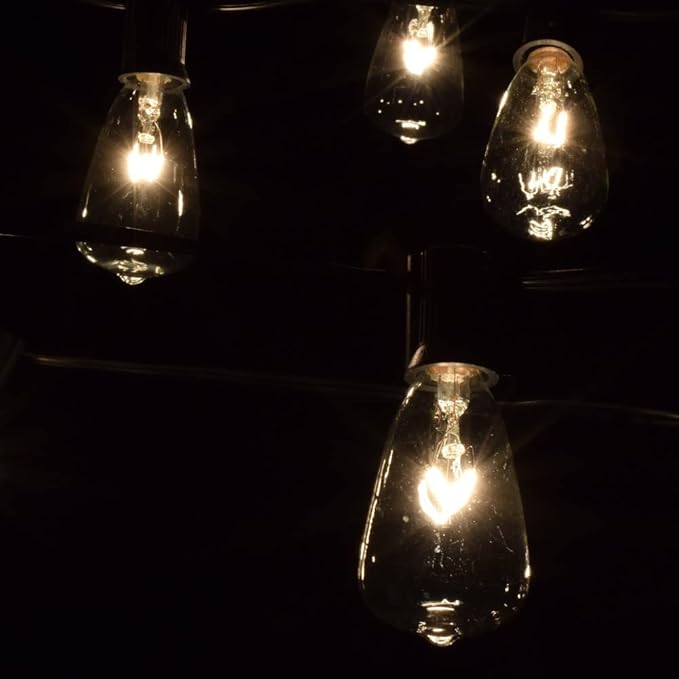 Hometown Evolution, Inc. Vintage Outdoor Patio String Lights with ST11 Clear Light Bulbs (Black Wire, 100 ft)