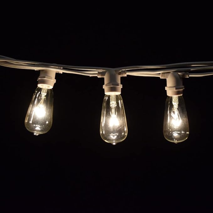 Hometown Evolution, Inc. Commercial Grade Vintage Edison Outdoor String Lights (ST40 Clear - Commercial White Wire | Lumora