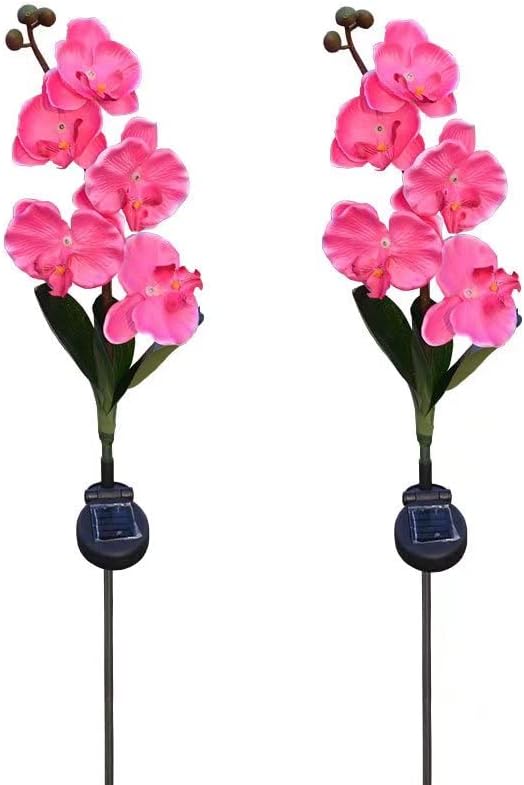 Flower Solar Lights Outdoor 2 Pack Waterproof Solar Garden Lights Phalaenopsis Flowers, Color-Changing Outdoor Lights for Patio, Back Yard, Garden, Lawn, Pathway