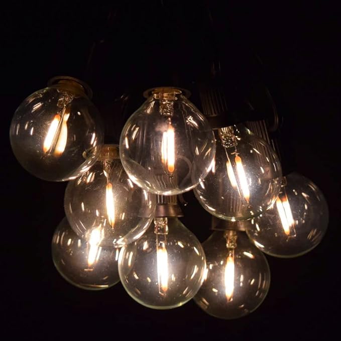 Hometown Evolution, Inc. G40 LED Warm White Outdoor Patio String Lights with 0.6 Watt Bulbs (G40 LED Filament - Black Wire, 25 ft)