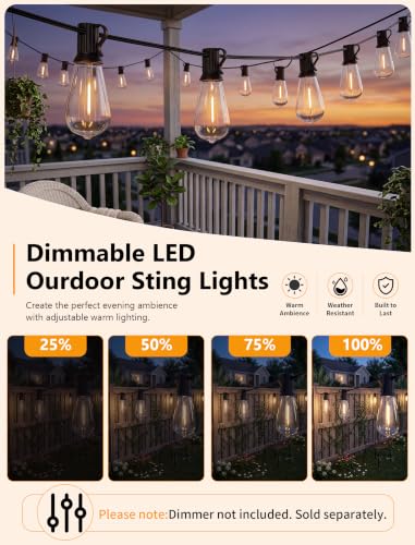 100FT Outdoor String Lights, 50 ST40 Edison LED Patio Lights