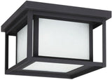 Sea Gull Lighting 79039EN3-12 Hunnington Two Light Outdoor Ceiling Flush Mount Hanging Modern Light Fixture, Black | Lumora