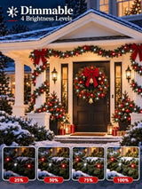 Connectable 100LED 43FT Red and White Christmas String Lights Indoor