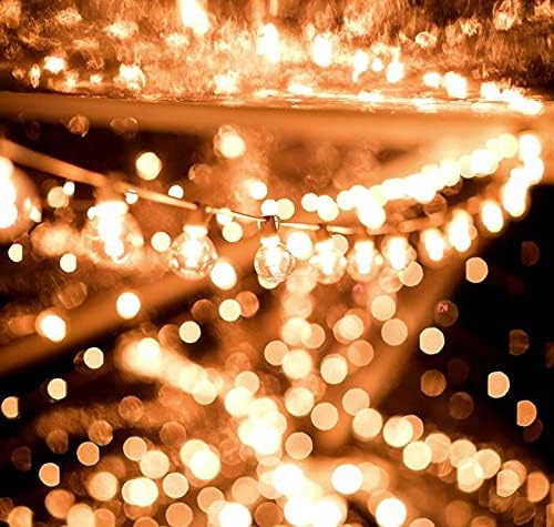 G30 25ft Outdoor Patio String Lights - 25 Clear Globe Bulbs - Indoor/Outdoor - Cafe Hanging - Green Wire