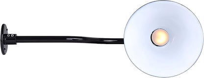 CANARM BL10WACBK Outdoor Aluminum Barn Light , Black , 10 Inch