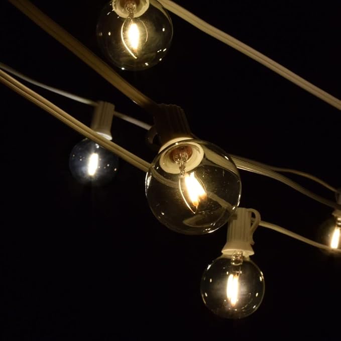 Hometown Evolution, Inc. G40 LED Warm White Outdoor Patio String Lights with 0.6 Watt Bulbs (G40 LED Filament - White Wire, 10 ft)