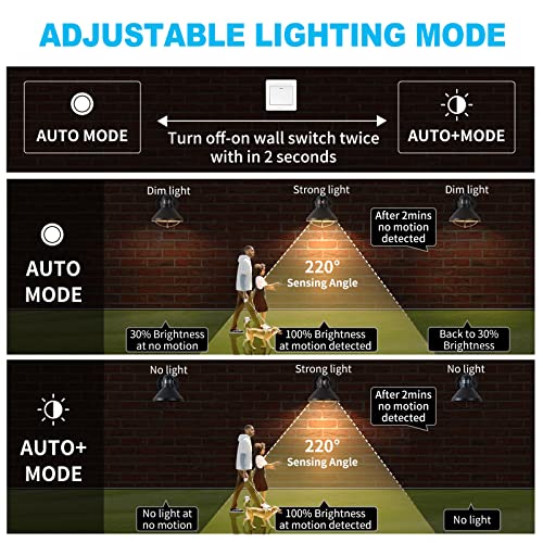 LONEDRUID 2 Pack Dusk to Dawn Motion Sensor Outdoor LED Wall Light Fixture