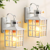 VIANIS Motion Sensor Exterior Wall Light, Brightness Distance Adjustable