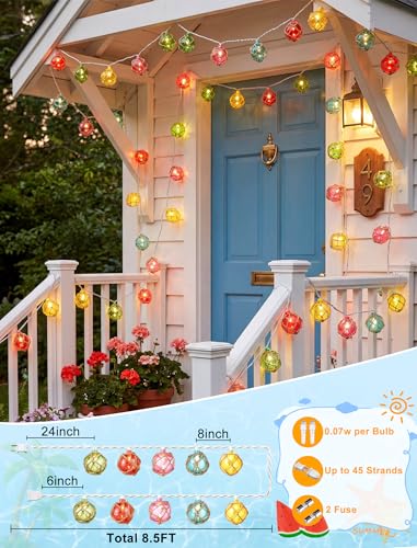 Oviejo 8.5FT LED Tiki Bar String Lights, 10 Multicolor Patio Lights Plug in