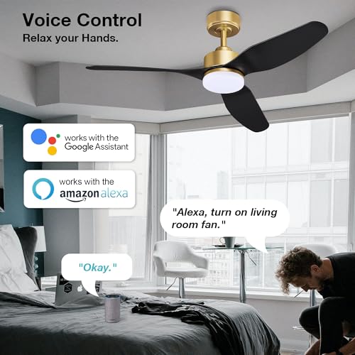 48 Inch Smart Ceiling Fans with Lights Remote,Outdoor Indoor,Gold and Black