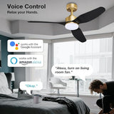 48 Inch Smart Ceiling Fans with Lights Remote,Outdoor Indoor,Gold and Black