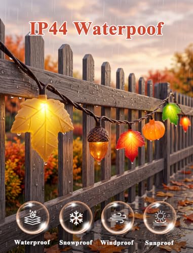 Fall Decor String Lights, 8.5FT 10 LED Thanksgiving Lights Outdoor Plug in