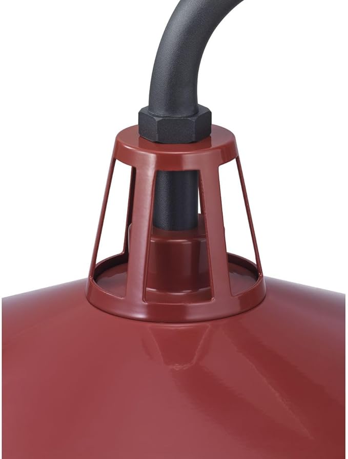 Progress Lighting Cedar Springs Collection 1-Light Farmhouse Outdoor Extra-Large Wall Lantern Light Red