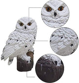 2-Pack Solar White Owl Outdoor Garden Light Garden Solar Lights Outdoor Decorative Resin Owl Solar LED Lights with | Lumora