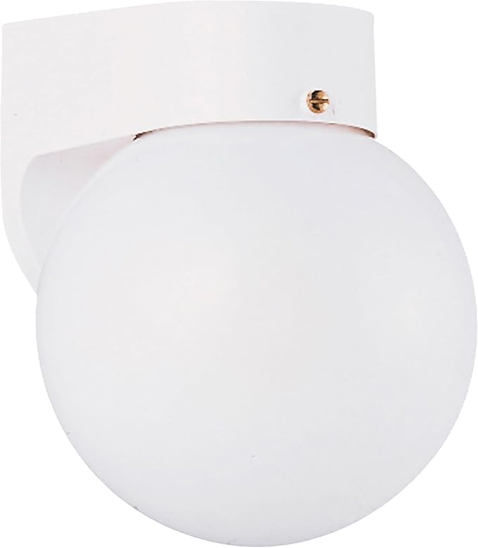 Generation Lighting 1-Light Outdoor Wall Series Traditional Outdoor Wall Lamp White 8753-15, Lovely Wall Lamp for Outdoor Decor, Wall Light Fixture Uses Standard or LED Light Bulb