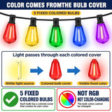 100FT Plug-in String Lights, Fixed 5-Color ST38 Bulbs, Bluetooth & Remote