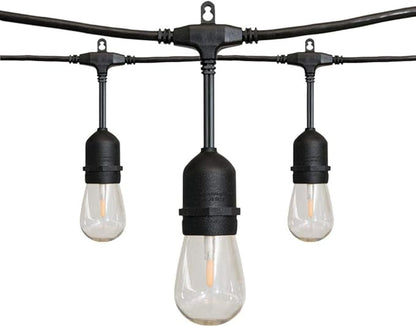 Hampton Bay 24 ft. 12-Light Filament LED String Light
