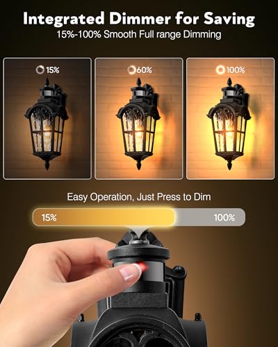VIANIS Motion Sensor Porch Light Outdoor, Black Outside Sconce Lighting