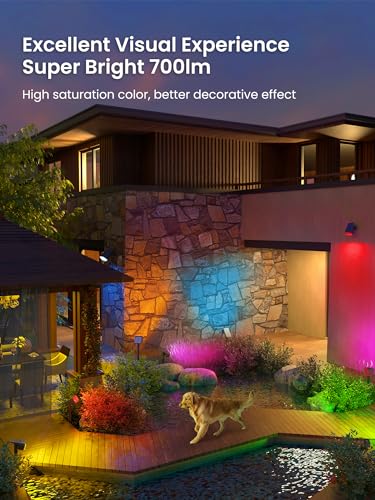 AUDERWIN Solar Spot Lights Outdoor Waterproof, 1 Pack, RGB