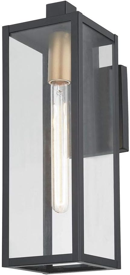 Modern Outdoor Wall Light Black 17.25 Inches Tall