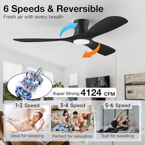 52In Low Profile Ceiling Fans with Lights,Flush Mount,Black,Outdoor Indoor