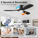 52In Low Profile Ceiling Fans with Lights,Flush Mount,Black,Outdoor Indoor