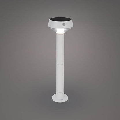 EcoPath Solar Collection LED Landscape Path Light or Fence Post Light with Linkable IR Motion Sensor and Daylight Sensor 80 Lumens 8 Hours on Full Charge 3000K in White (Pack of 2)