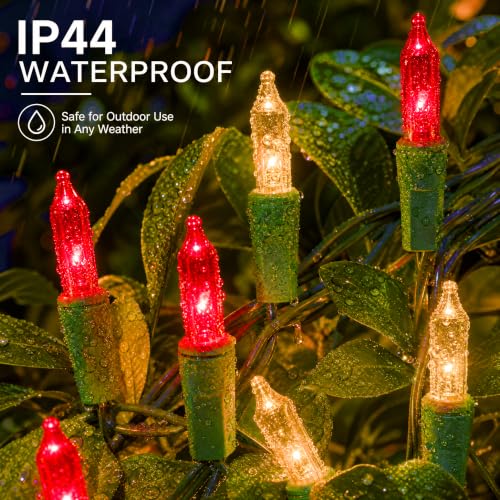 TW SHINE Christmas Mini String Lights, 20FT 100 Count Incandescent Mini Christmas Tree Lights, Waterproof Xmas String Lights for Outdoor Indoor Home Party Yard Decorations, Warm White and Red