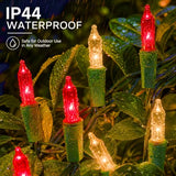 TW SHINE Christmas Mini String Lights, 20FT 100 Count Incandescent Mini Christmas Tree Lights, Waterproof Xmas String Lights for Outdoor Indoor Home Party Yard Decorations, Warm White and Red